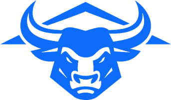 Toro Roofing